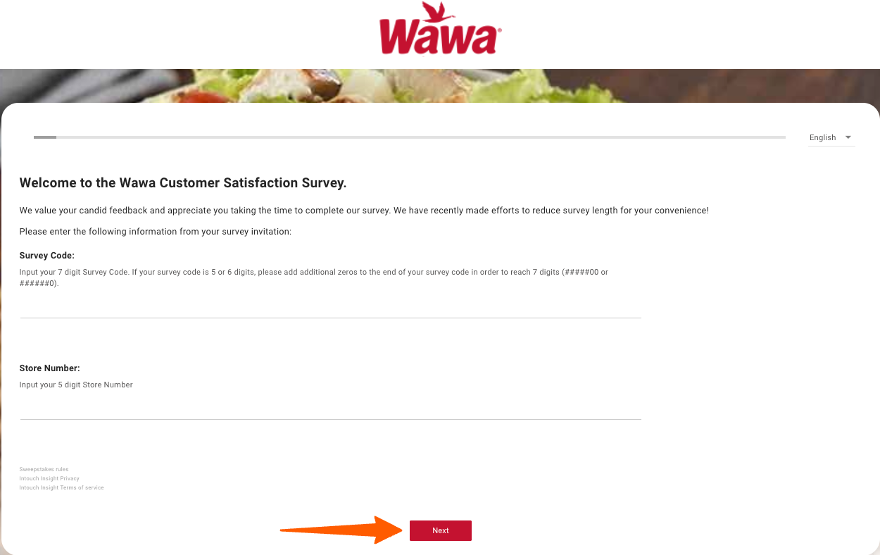 wawa survey